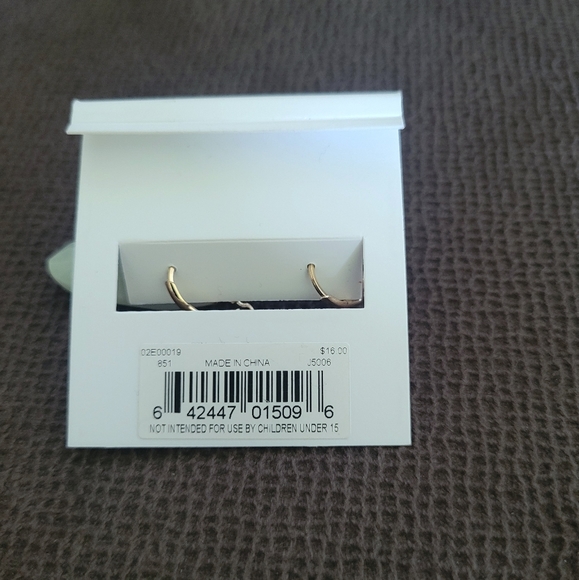 Chaps Teardrop💧 Shaped Unpolished Green💚 Angelite😇 Earrings - Picture 15 of 15